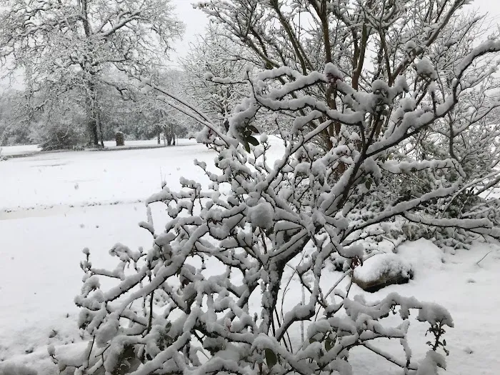 Briers Ranch Primitive Camping Picture 1