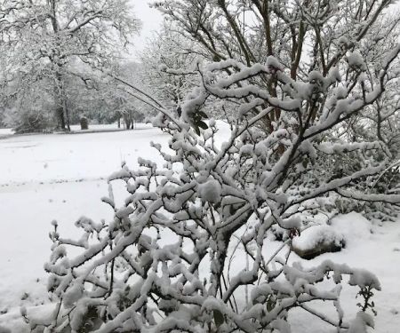 Briers Ranch Primitive Camping