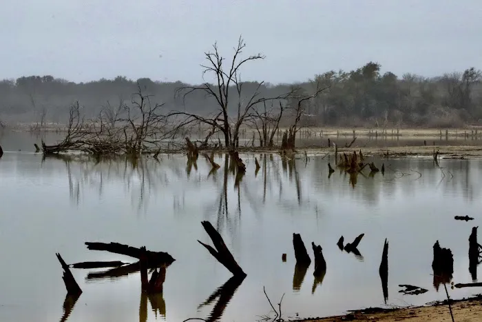 Reynolds Creek Park Picture 2