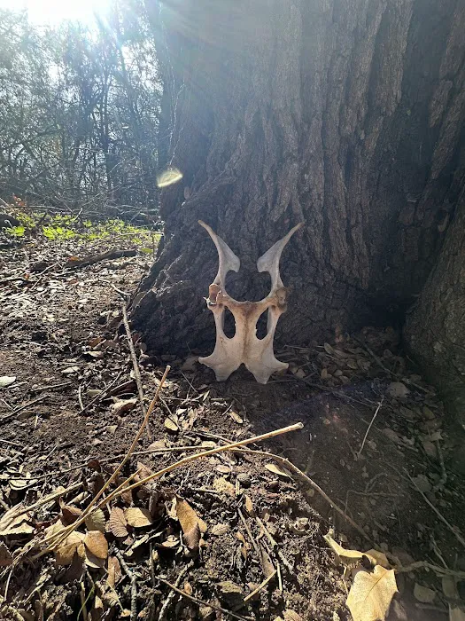 Reynolds Creek Park Picture 10