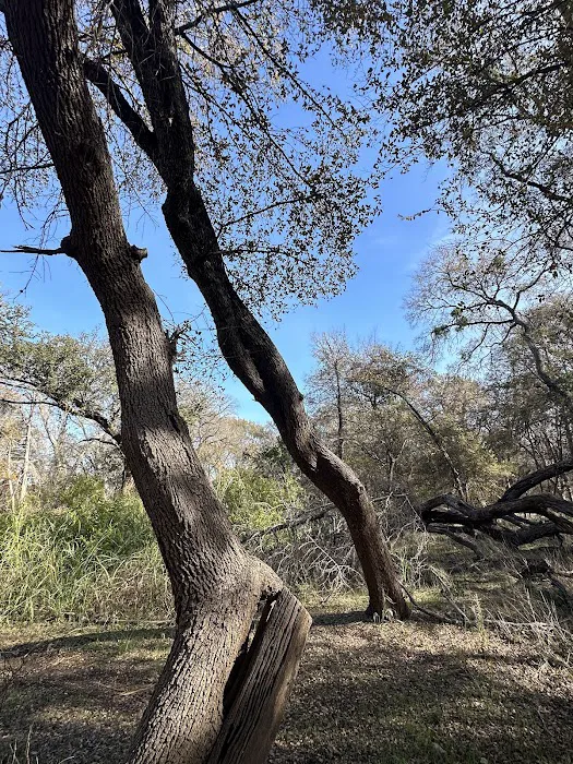 Reynolds Creek Park Picture 3