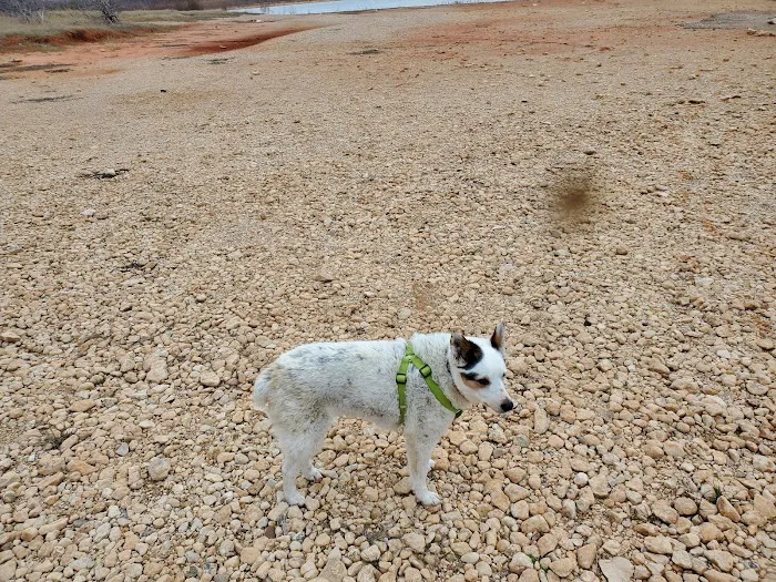 Lake Whitney Camping Resort Ramp Cabin 2 Picture 2