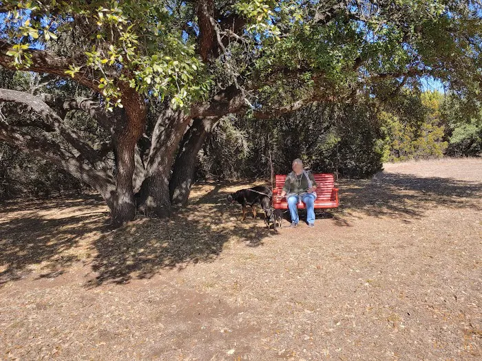 Lake Whitney Camping Resort Ramp Cabin 2 Picture 8