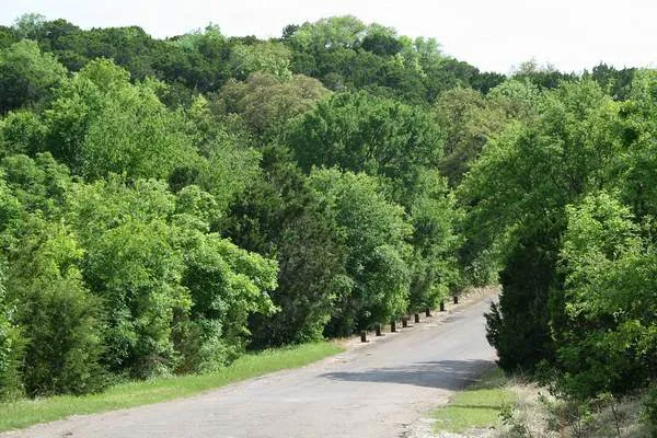 Thousand Trails Lake Whitney Picture 3