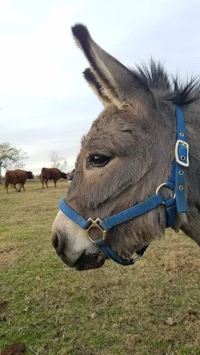 Camp Sonshine Picture 4