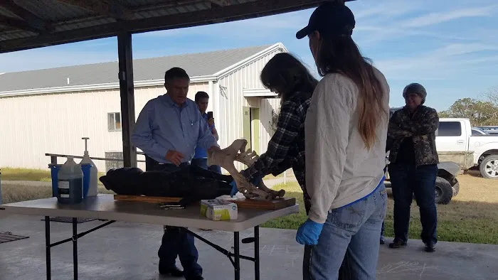 Camp Sonshine Picture 6