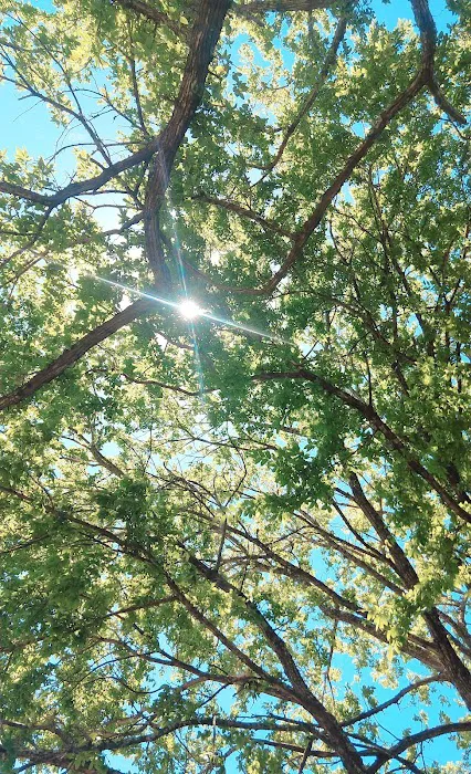 Camp Sonshine Picture 8