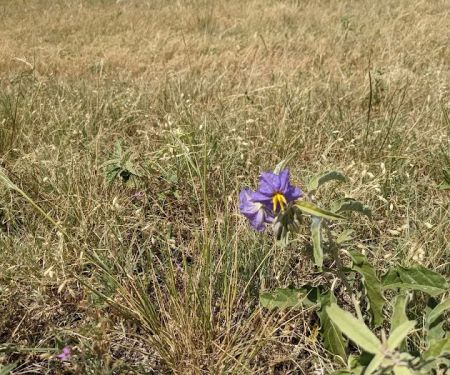 Bear Creek Campground