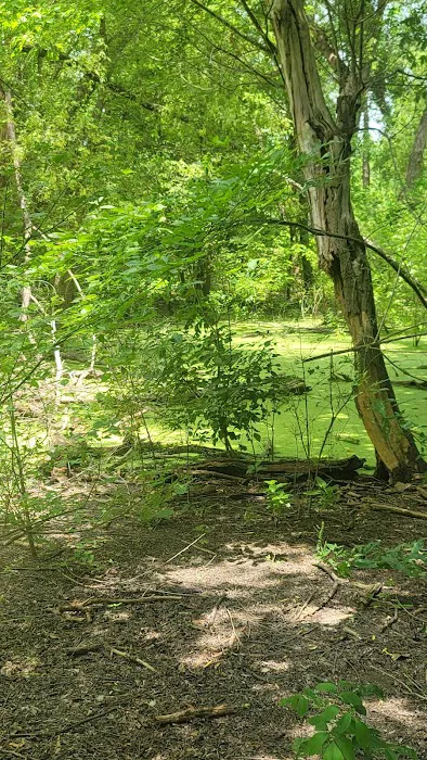 Bear Creek Campground Picture 8