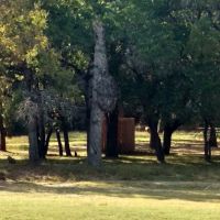 Lower pool (Camp El Tesoro) ico