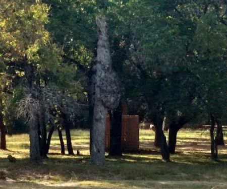 Lower pool (Camp El Tesoro)