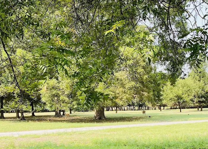 South Holiday Park Picture 6
