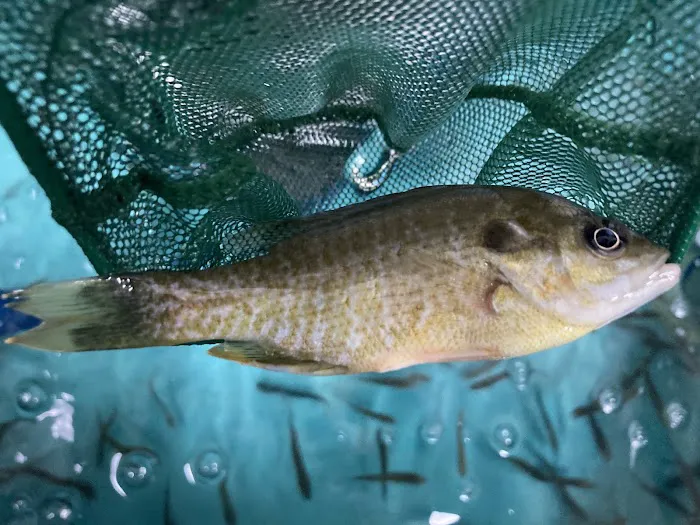 Brazos Outdoor Center Picture 8