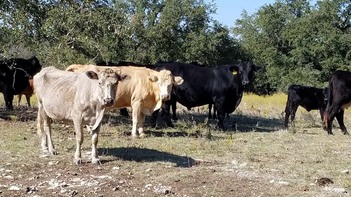 High Hope Ranch Picture 1
