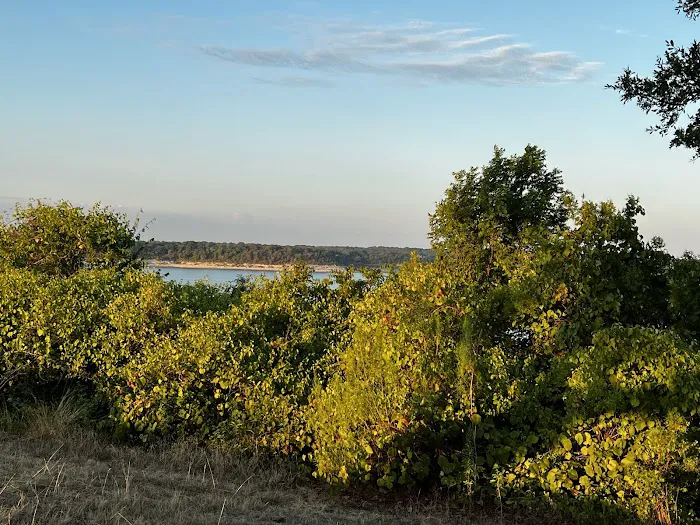 Live Oak Ridge Park Campground Picture 3