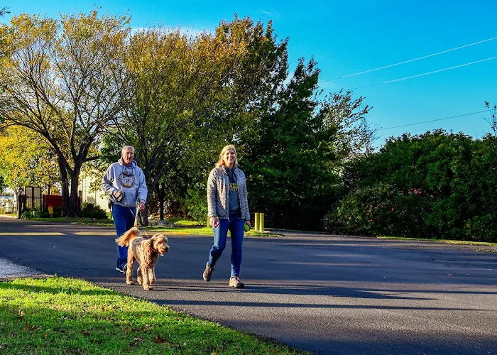 Dallas / Arlington KOA Holiday Picture 4