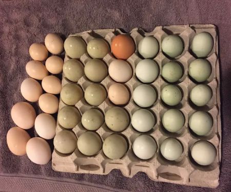 Friends in RV Spaces