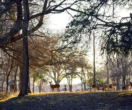 Myers Corner RV Park