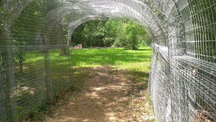 Camp Karankawa Picture 9