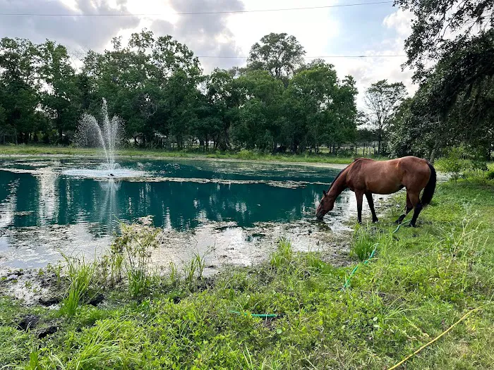Gray Ranch Picture 5
