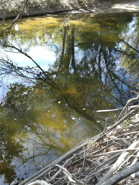 Church of Christ Campground Picture 5