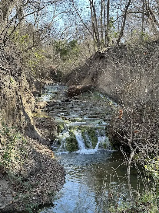 Camp Tahuaya: A Family Adventure Campground Picture 8