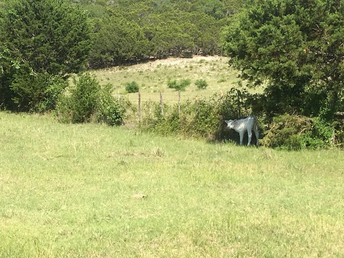 Union Park Campground Picture 4
