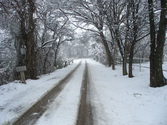 Lee's Country Campground Picture 6