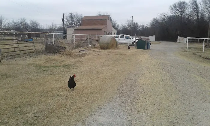 Lee's Country Campground Picture 4