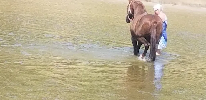 Brazos River Campground Picture 1