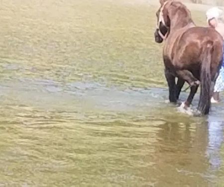 Brazos River Campground