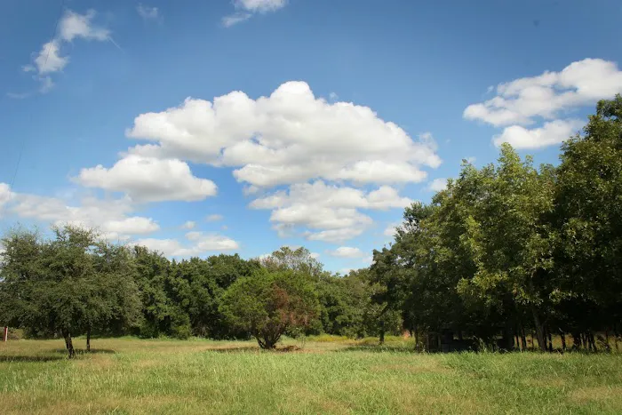 Star of the River Picture 8