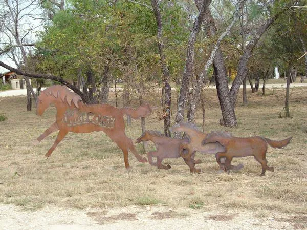 Star of the River Picture 4