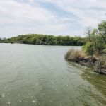 Screen Shelter Camping Area