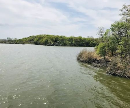 Screen Shelter Camping Area