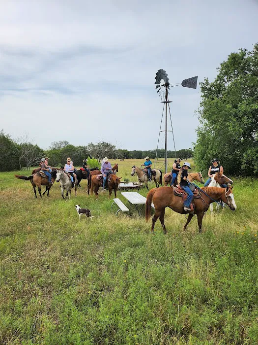 Parrie Haynes Equestrian Center Picture 7