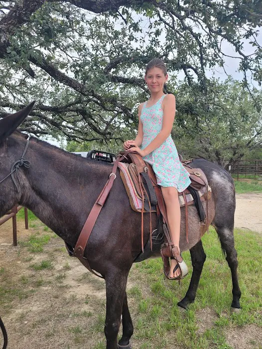 Parrie Haynes Equestrian Center Picture 8