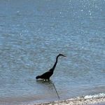 Meadowmere Campgrounds