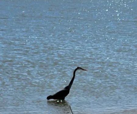 Meadowmere Campgrounds