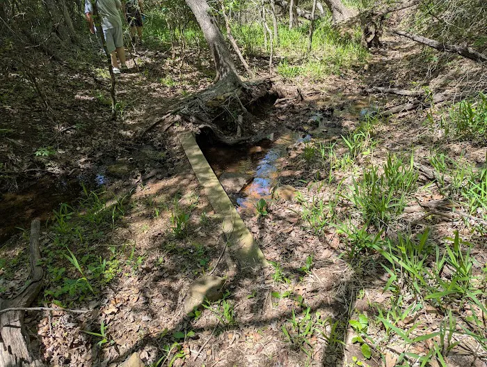 Camp Burnett Picture 6