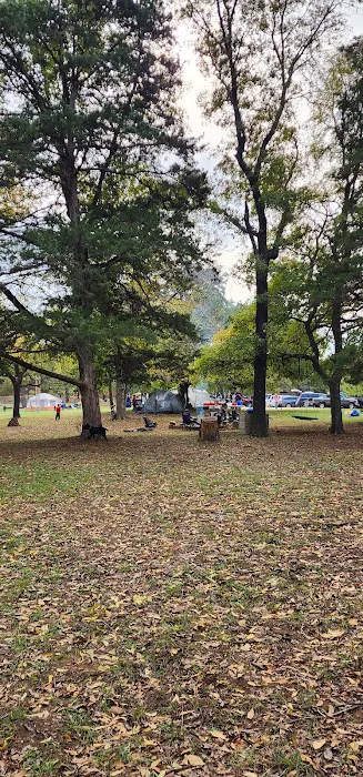 Camp Burnett Picture 8