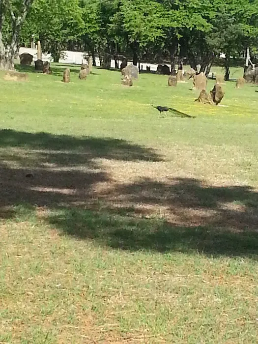 Lake Park Campground Picture 1