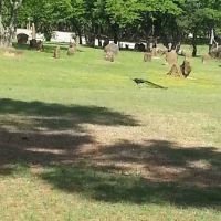 Lake Park Campground ico