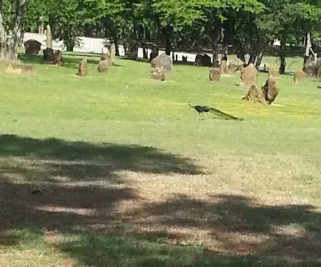 Lake Park Campground