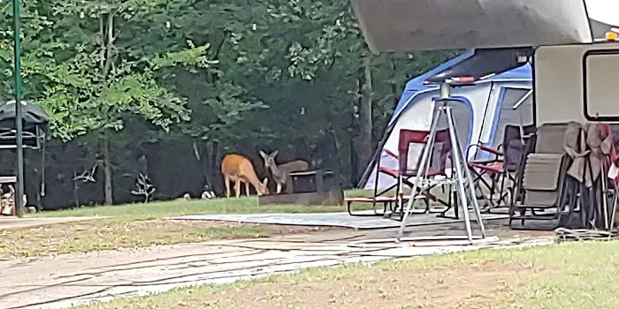 Hickory Creek COE Campground Picture 1