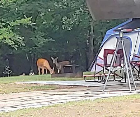 Hickory Creek COE Campground