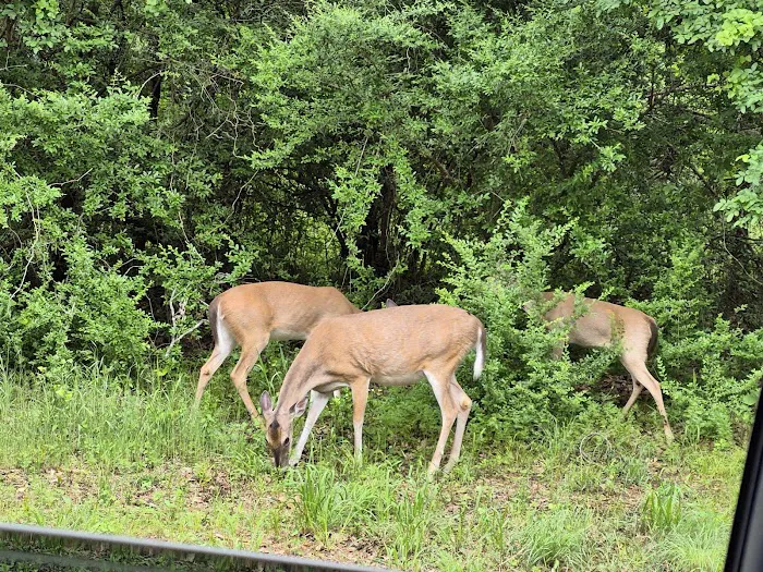 Hickory Creek Park Picture 1