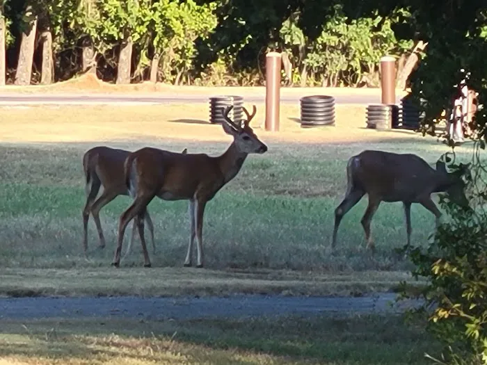 Hickory Creek Campground Picture 8