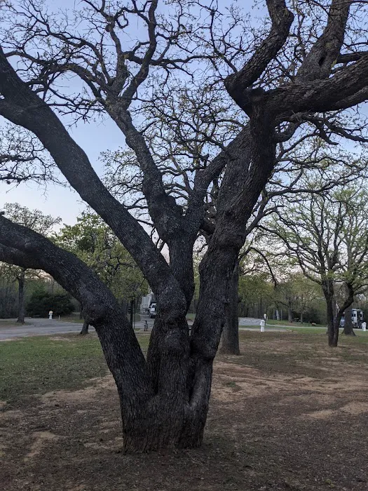 Hickory Creek Campground Picture 6