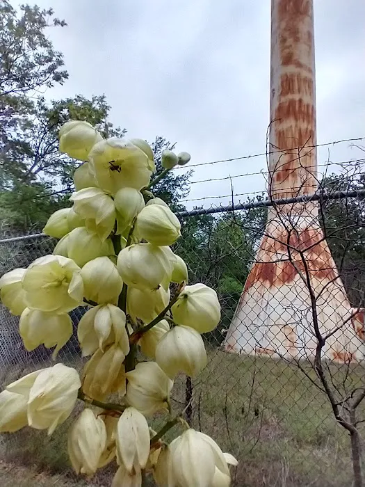 Hickory Creek Campground Picture 1